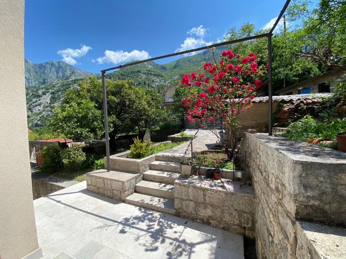 Apartments Mezini 11 Kotor Ngoại thất bức ảnh